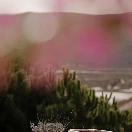 Dom wakacyjny Herdade D'amoreira Rosmaninho *