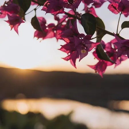 Herdade D'amoreira Rosmaninho *