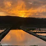 Herdade D'amoreira Rosmaninho Holiday home *