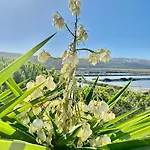 Herdade D'amoreira Rosmaninho