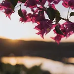 Herdade D'amoreira Rosmaninho *