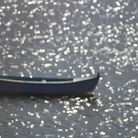 Herdade D'amoreira Rosmaninho Feriehus