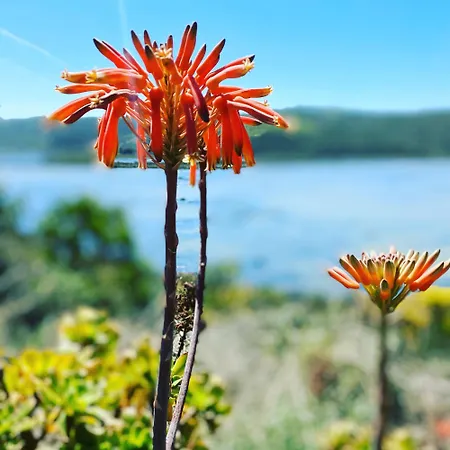 Herdade D'amoreira Rosmaninho 度假居