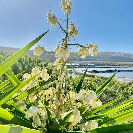 Herdade D'amoreira Rosmaninho